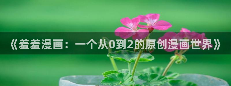 51漫画会员：《羞羞漫画：一个从0到2的原创漫画世界》