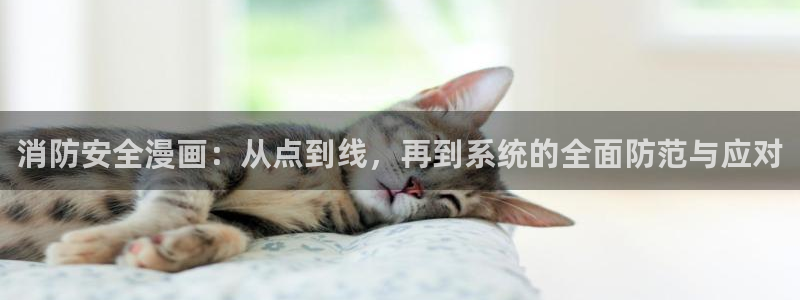 51漫画app：消防安全漫画：从点到线，再到系统的全面防范与应对