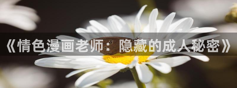 51漫画官网版动漫：《情色漫画老师：隐藏的成人秘密》